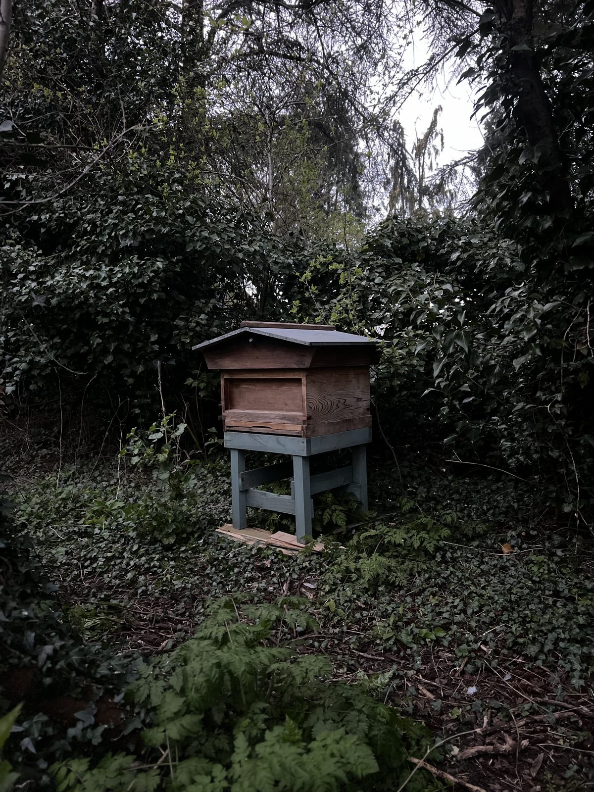 A beehive tucked in the garden